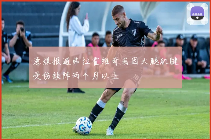 意媒报道弗拉霍维奇或因大腿肌腱受伤缺阵两个月以上