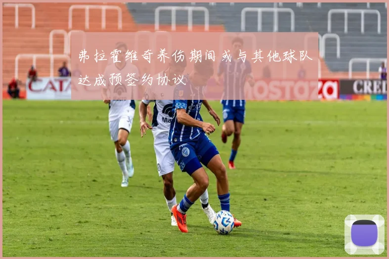 弗拉霍维奇养伤期间或与其他球队达成预签约协议