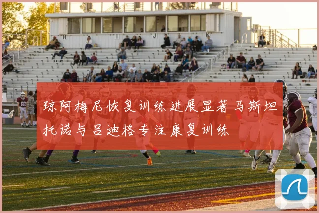 琼阿梅尼恢复训练进展显著马斯坦托诺与吕迪格专注康复训练