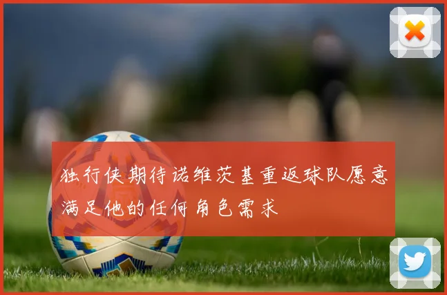 独行侠期待诺维茨基重返球队愿意满足他的任何角色需求